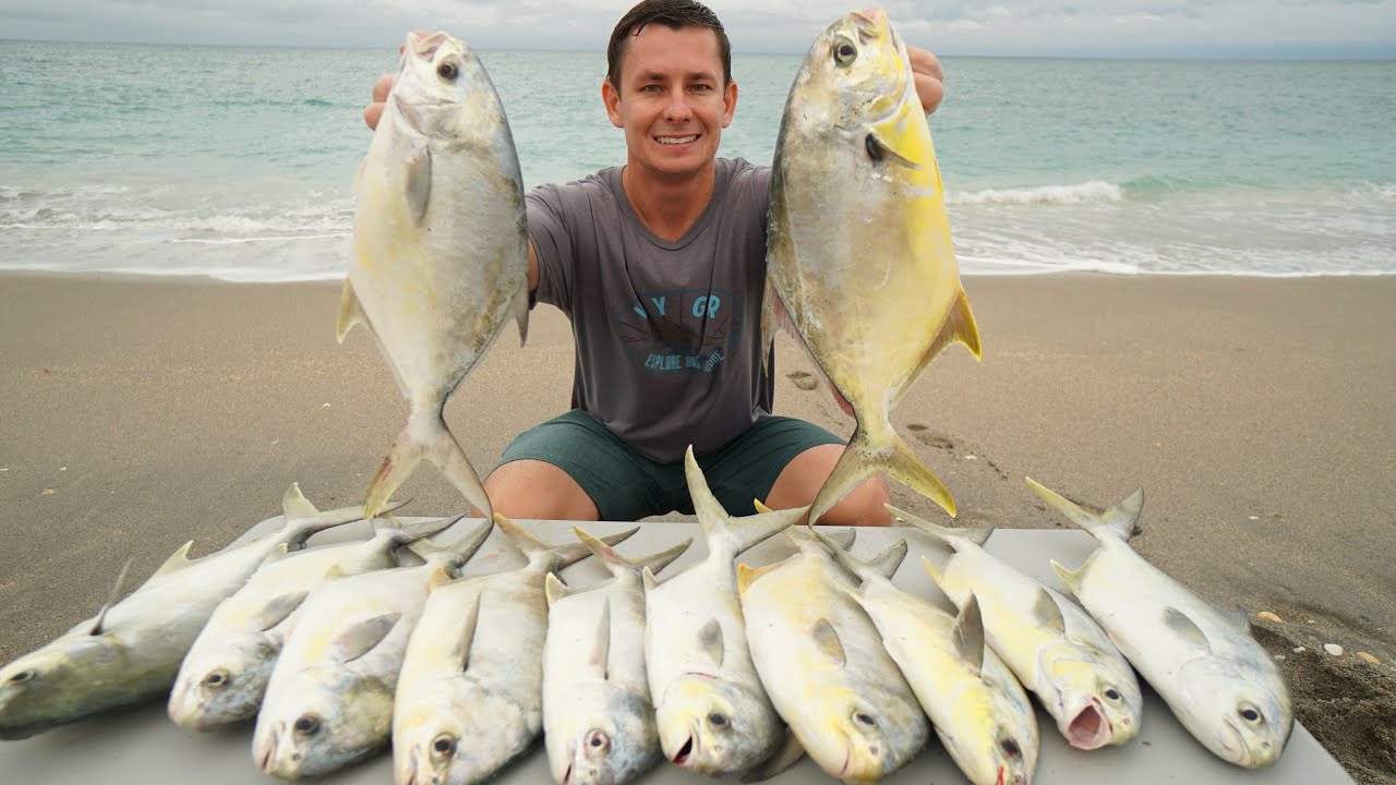 Pompano fish is a type of saltwater fish found in tropical waters around the globe. 