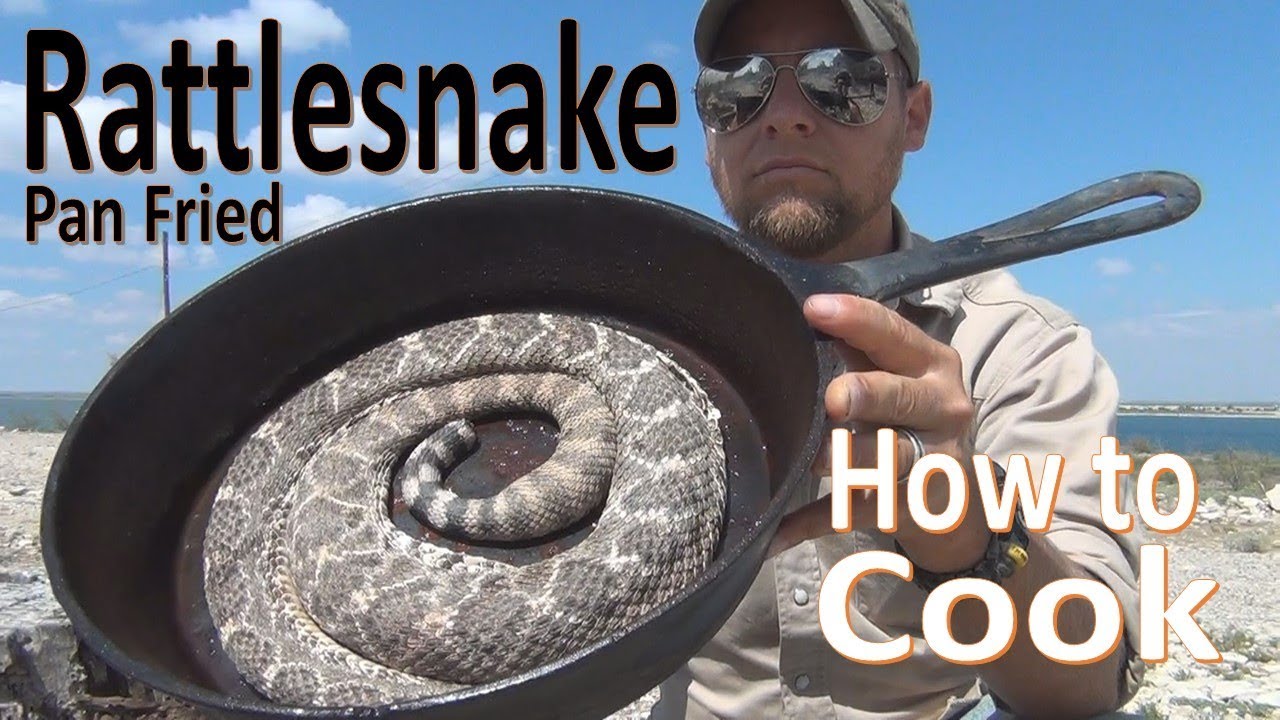 Rattlesnakes are some of the deadliest animals on Earth.