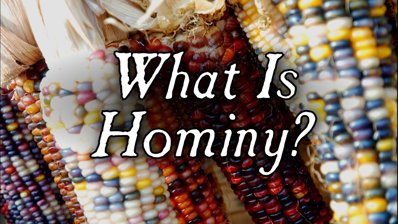 Hominy is a type of corn that has been soaked or parched before being ground into flour.