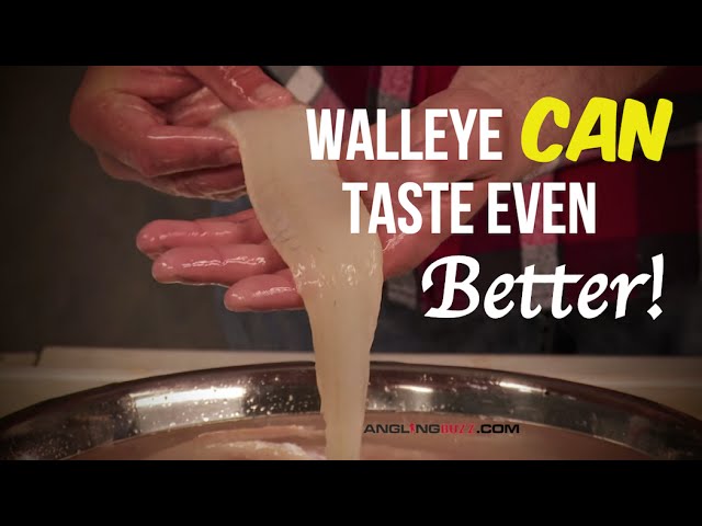 Walleye is a delicious fish that tastes great grilled or pan fried.