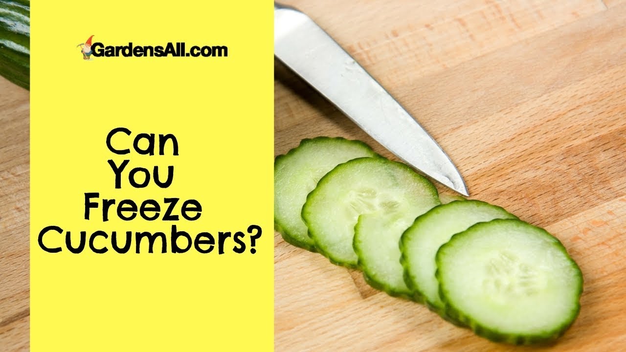 Can you freeze cucumbers?