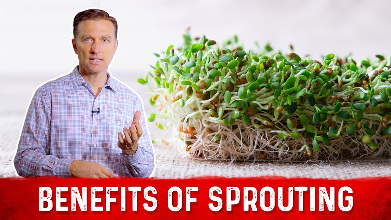Bean sprouts are a great addition to salads or stir fries.