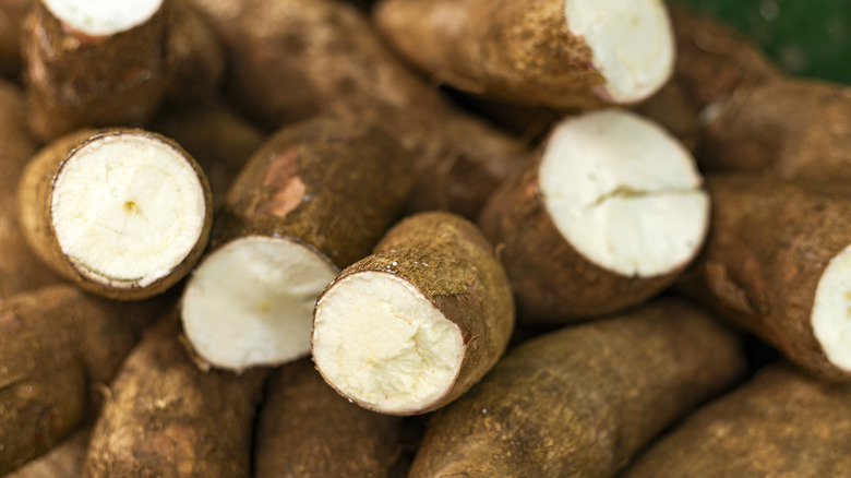 Yuca is a starchy root vegetable native to South America.
