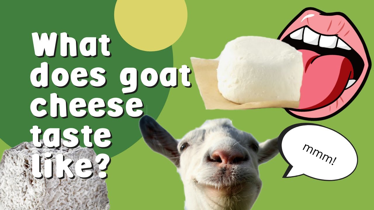 Goat cheese has become a favorite food item for many people around the world. But how long does goat cheese last?