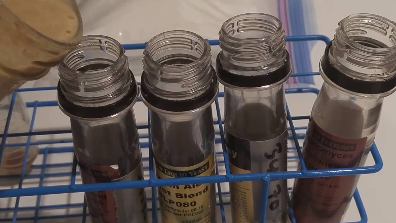 Can you freeze yeast? 