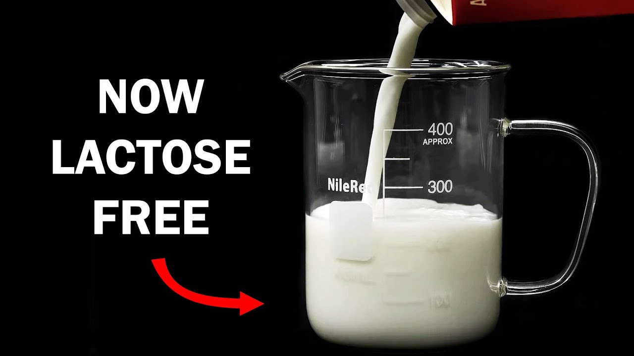 Are you looking for lactose free milk?