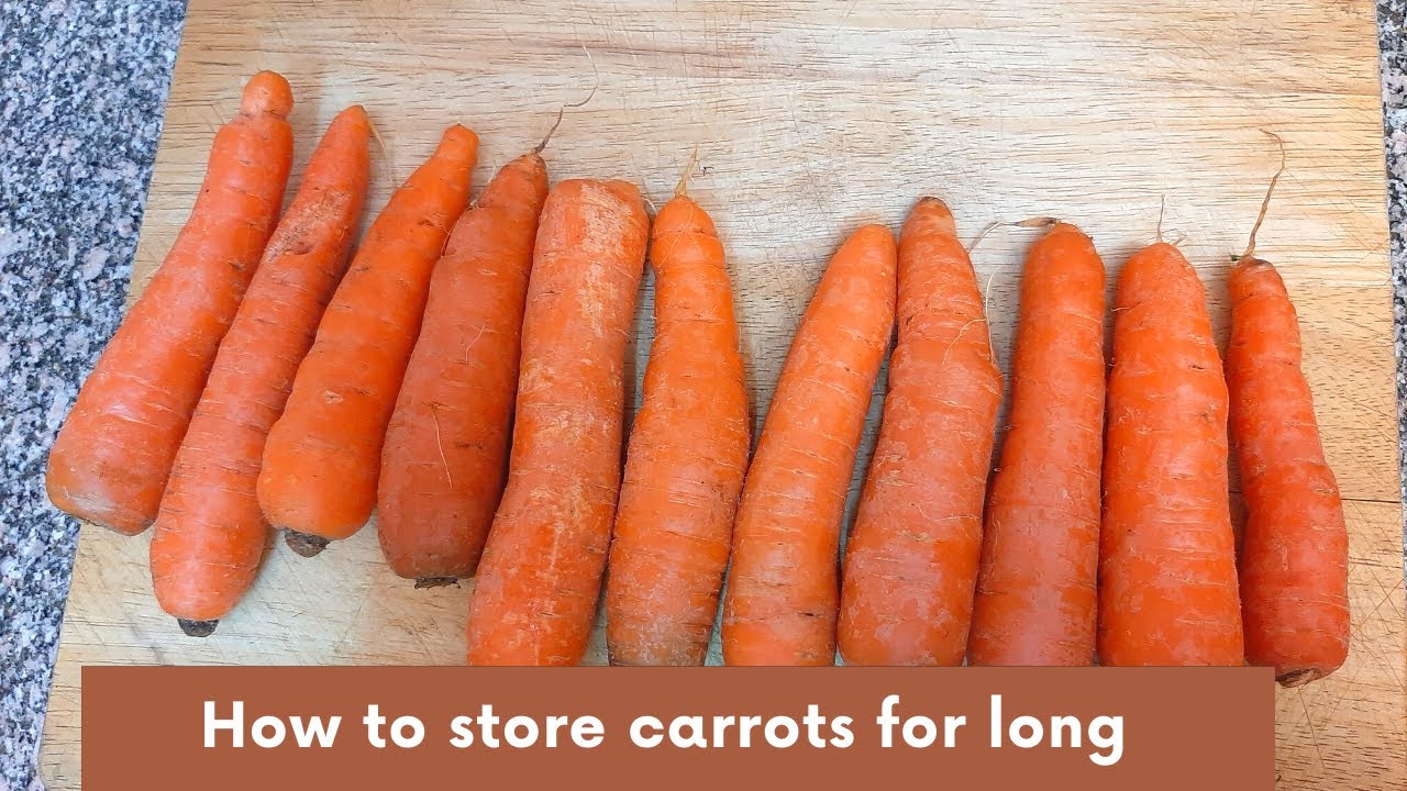 Carrots are a relatively new invention, but they are found in every vegetable section of grocery stores. 