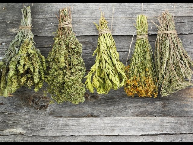 How often should you dry fresh thyme?