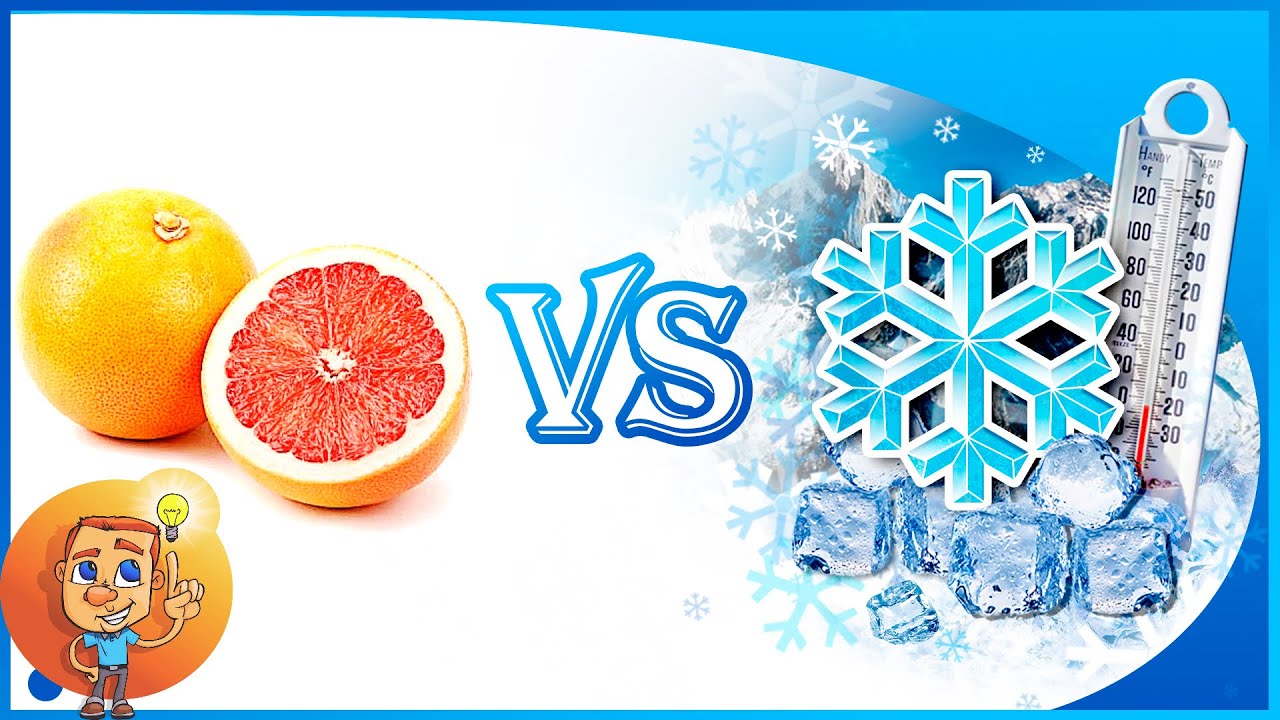 Have you had a hard time preparing a juicy grapefruit for the fridge when you’re trying to save it?