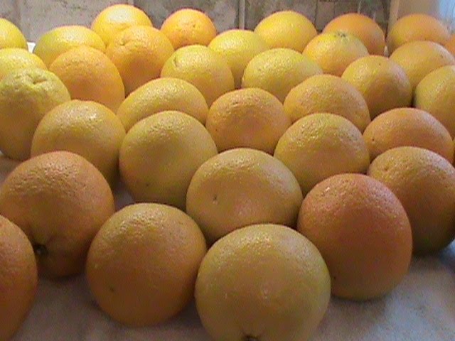 Do you freeze your food before eating it?