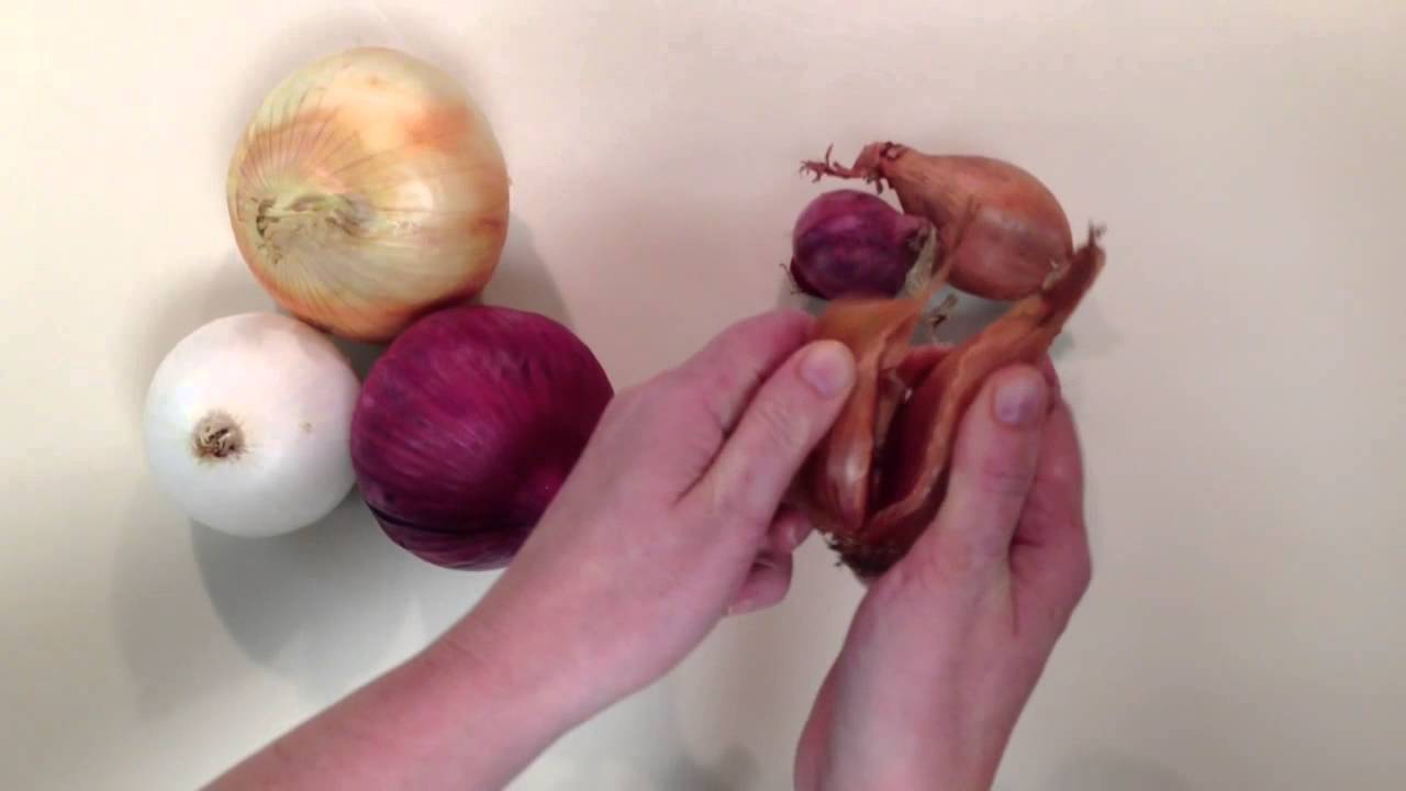 Shallots are a member of the onion family. 