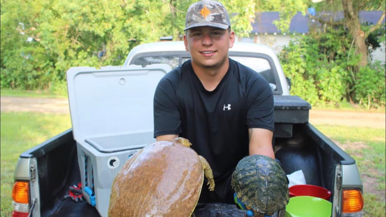 Asks the question, “What does turtle taste like?” to explore how turtles taste, what their habitat is like, and where they live.