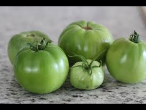 When you go grocery shopping, do you ever wonder how long certain food items last?