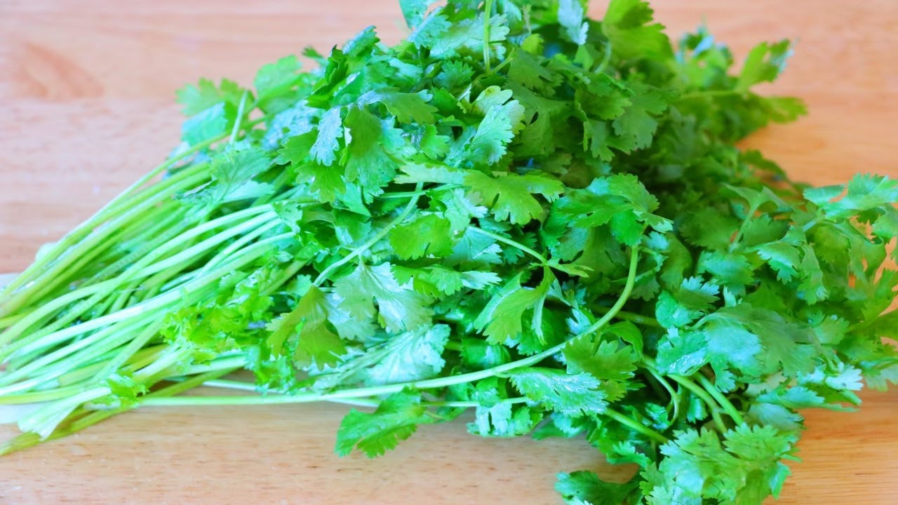 In this article, you’ll learn about the shelf life of cilantro so that you can view your own grocery stock with a “crisp” eye.