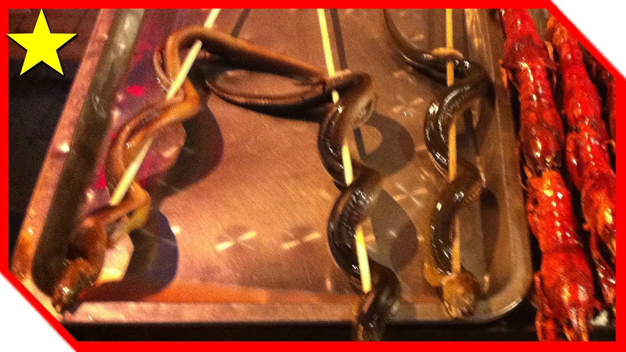 It’s only a matter of time before AI comes to your life, and this is a roundup of the best articles on the subject. 