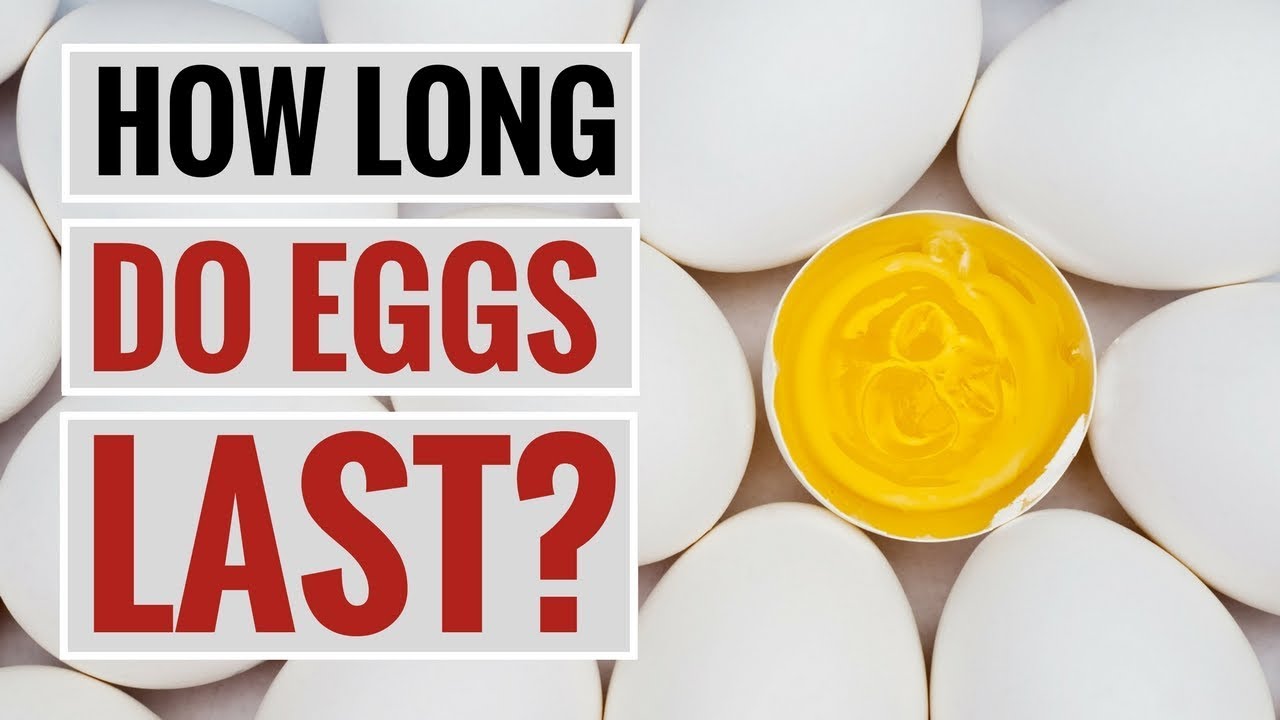 This article will break down the shelf life of eggnog, and the implications if you find out that it has gone bad. 