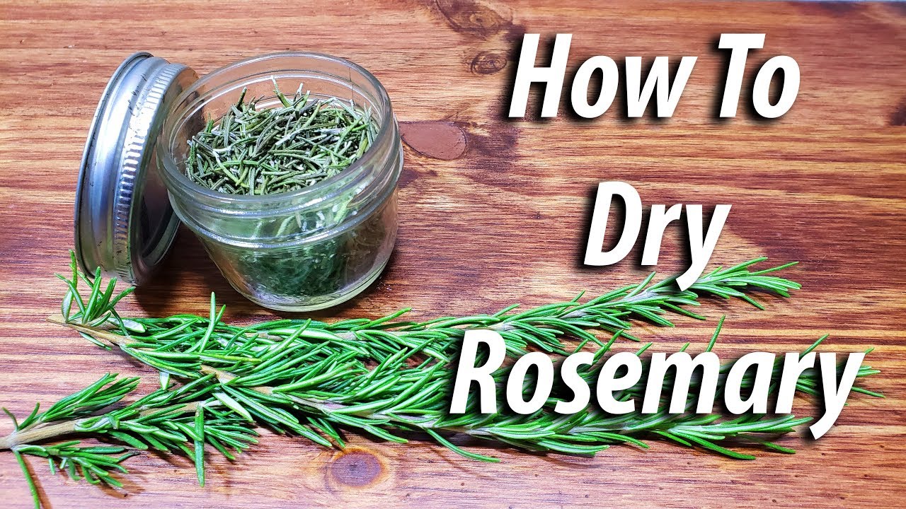 Do you love fresh rosemary but hate the way it gets dried out after being cut?