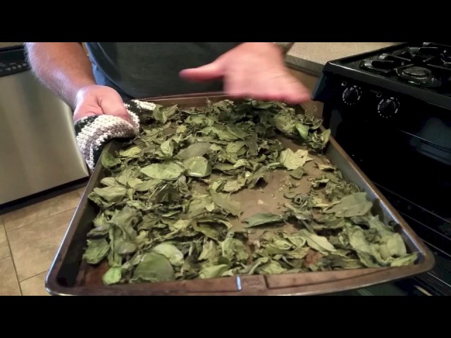 How to dry fresh basil leaves successfully?