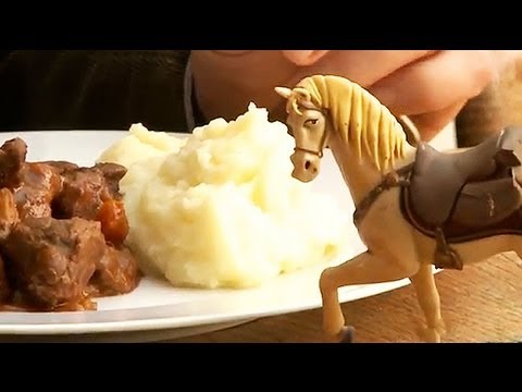 We’ve all heard about the controversy over horse meat being sold in grocery stores. What is horse meat? 