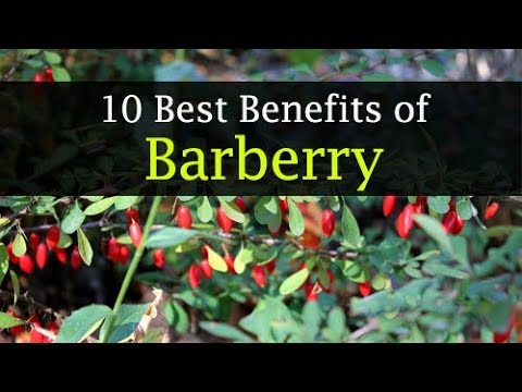 It seems that as the name implies, you can only eat them as a garnish on a salad. 