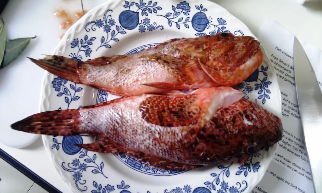 Have you ever wondered what grouper tastes like? 