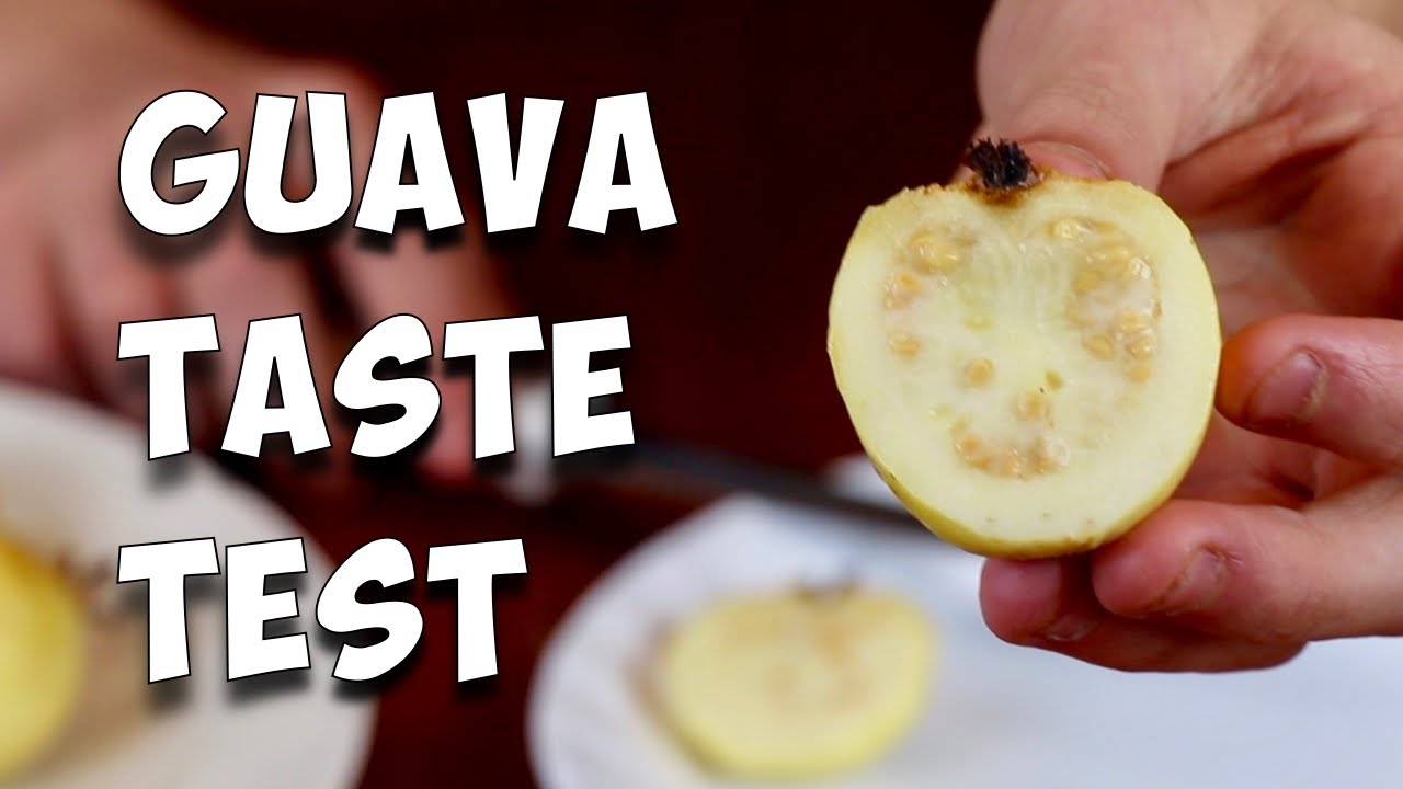 This article discusses the debate of whether or not Guava is a fruit. 