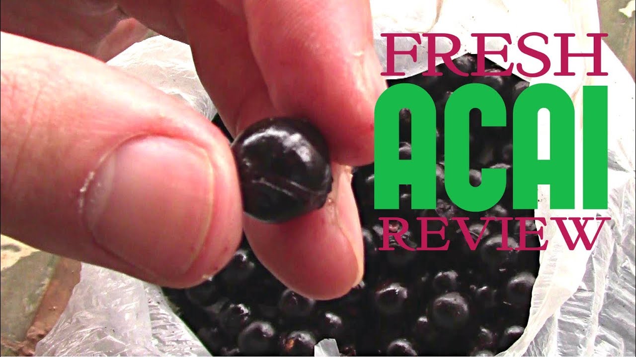 Acai berries have been around for over a century, but the only recent surge in popularity is due to their weight loss properties. 