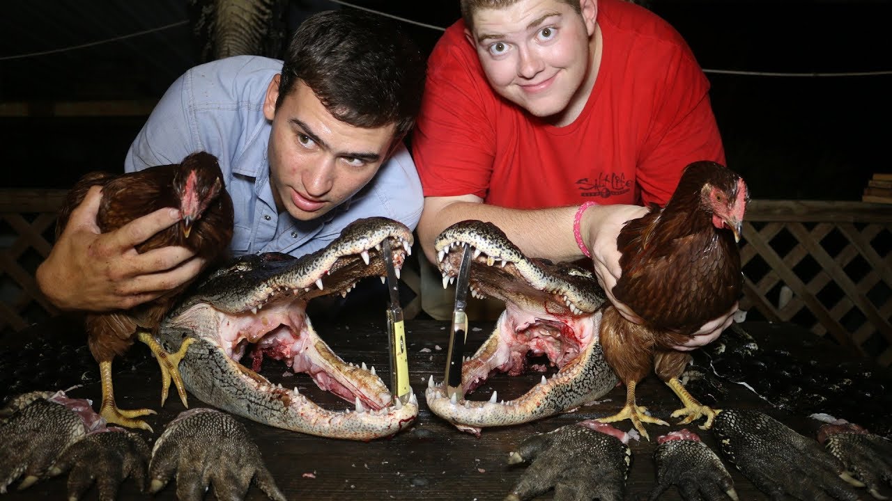 You’ve been curious about what gator tastes like, or whether it tastes good. 