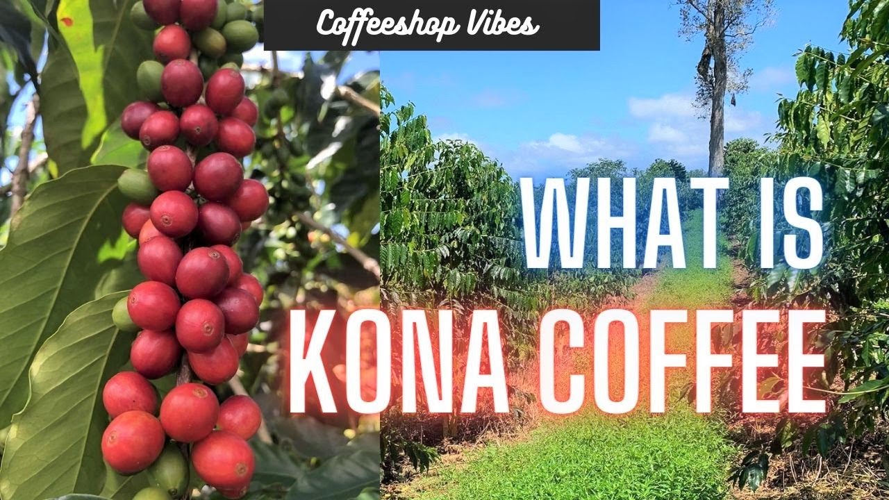 Kona coffee has a magical and wonderful aroma that seems to permeate the air with its sweet, earthy scent. 
