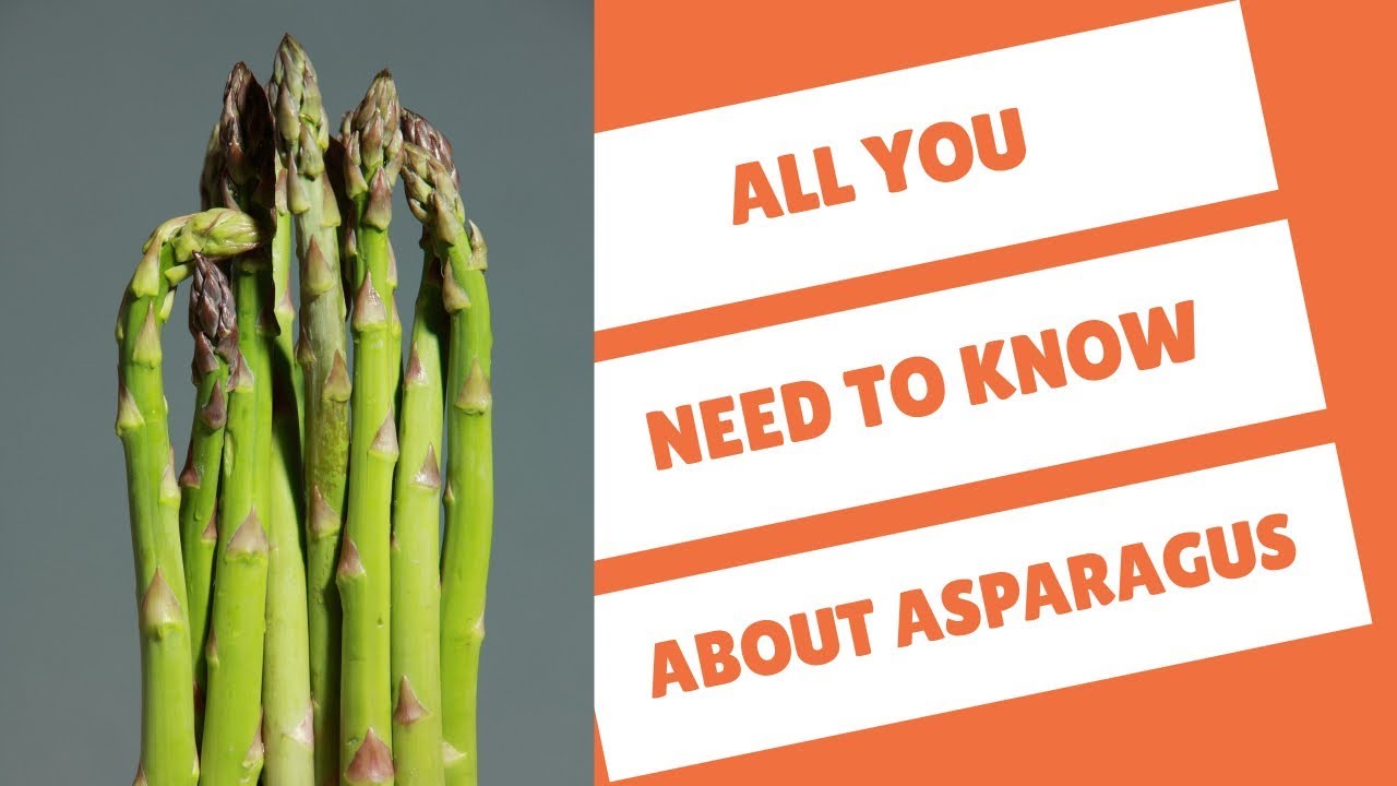 Imagine your first bite of asparagus. Is it a fresh, delicious asparagus experience or an off-putting, bitter one? 
