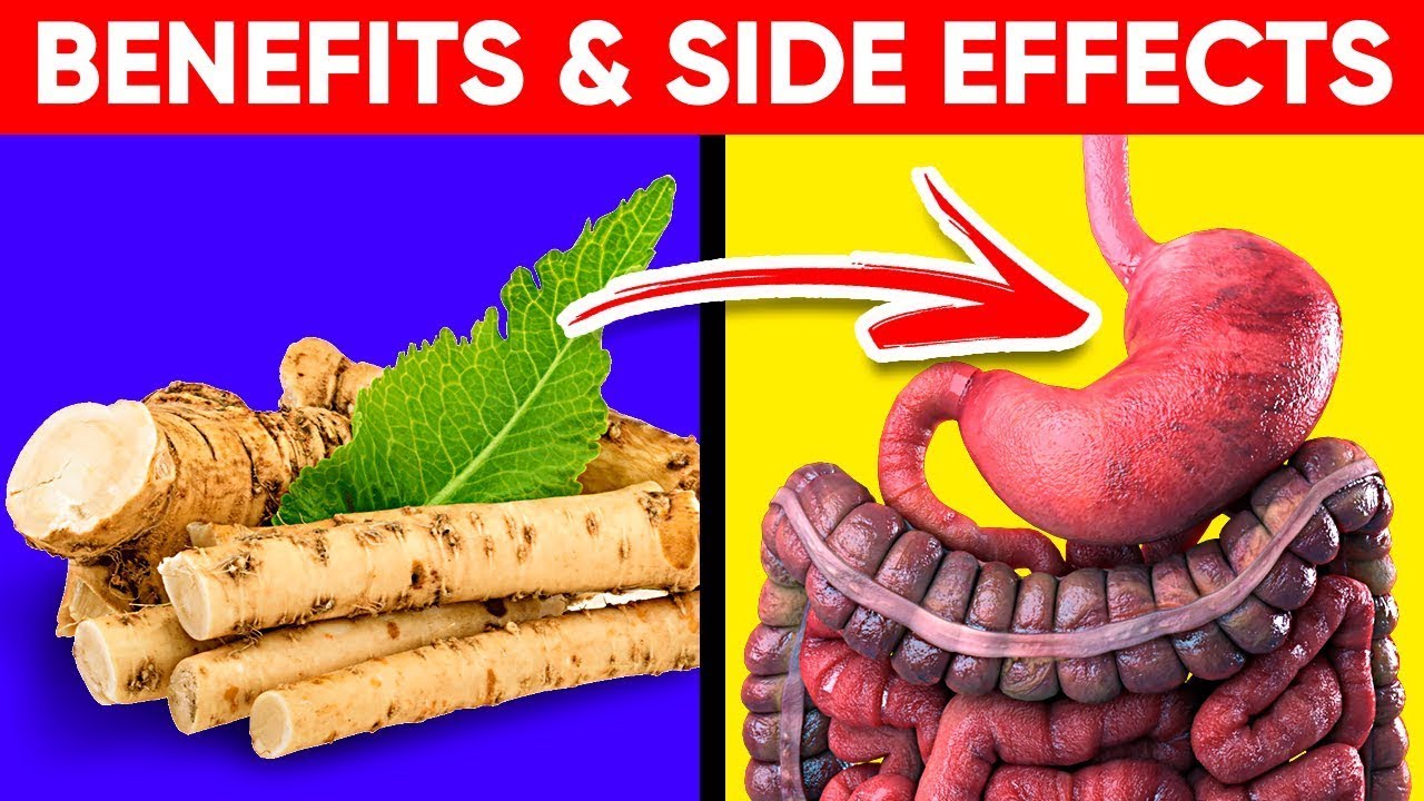 Instead of worry about what does go bad and how long does it last, you can save yourself the hassle with this article!