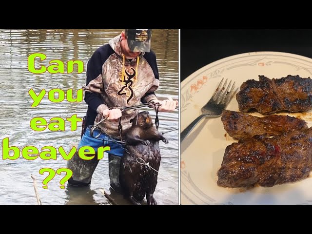 In this fun blog post,