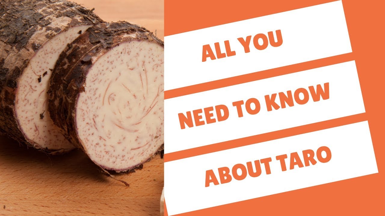 In this blog article, we explore the questions most commonly asked about taro.