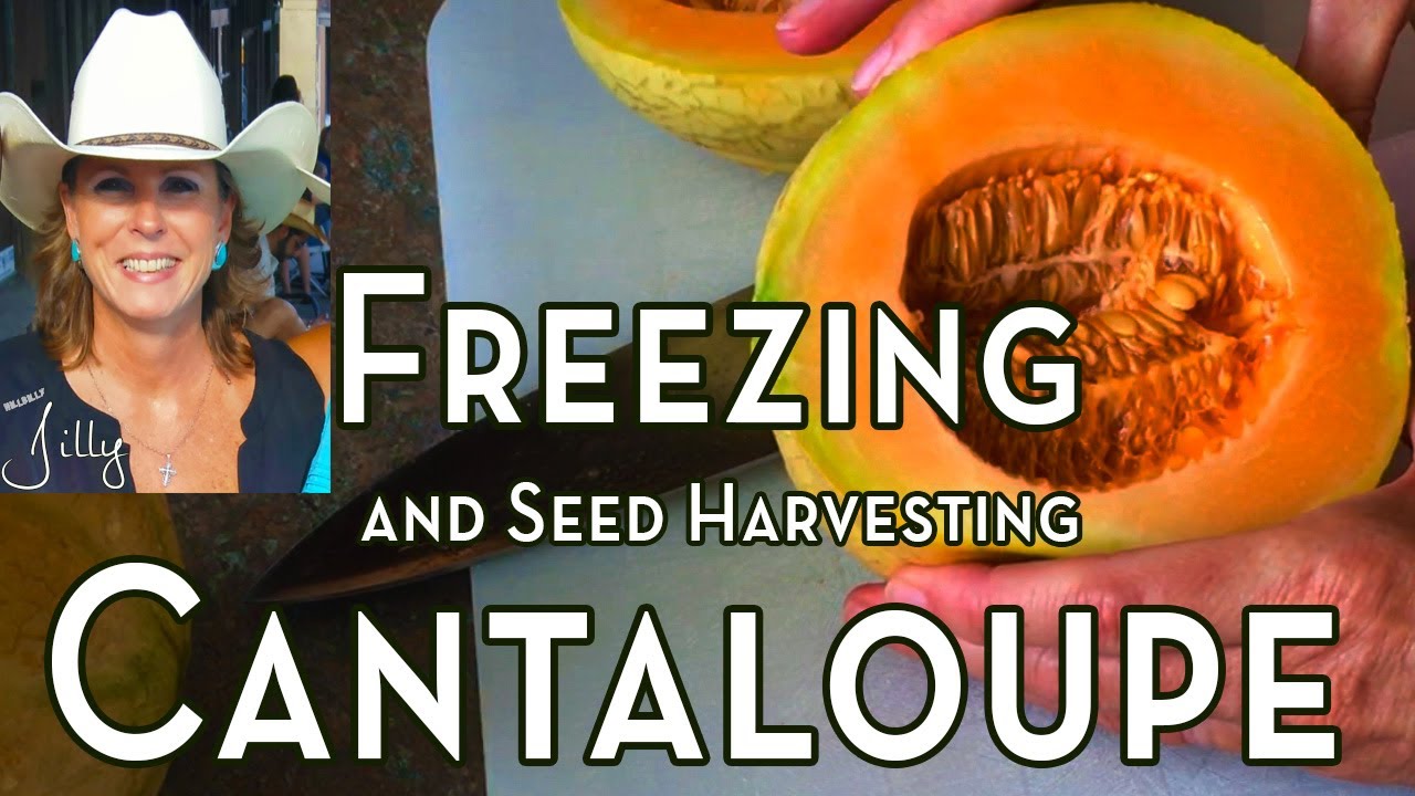 Do you ever freeze cantaloupes?