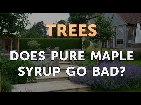 This article concerns the shelf life of maple syrup.