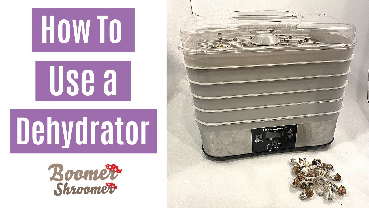 How to dehydrate mushrooms?